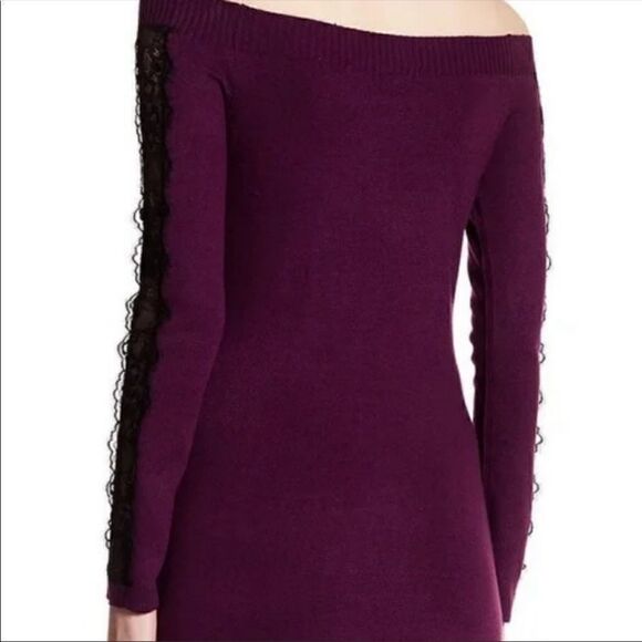 Cynthia Steffe Purple Bodycon Dress with Lace - Picture 4 of 4